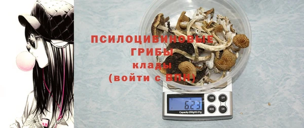 ПСИЛОЦИБИНОВЫЕ ГРИБЫ Сафоново