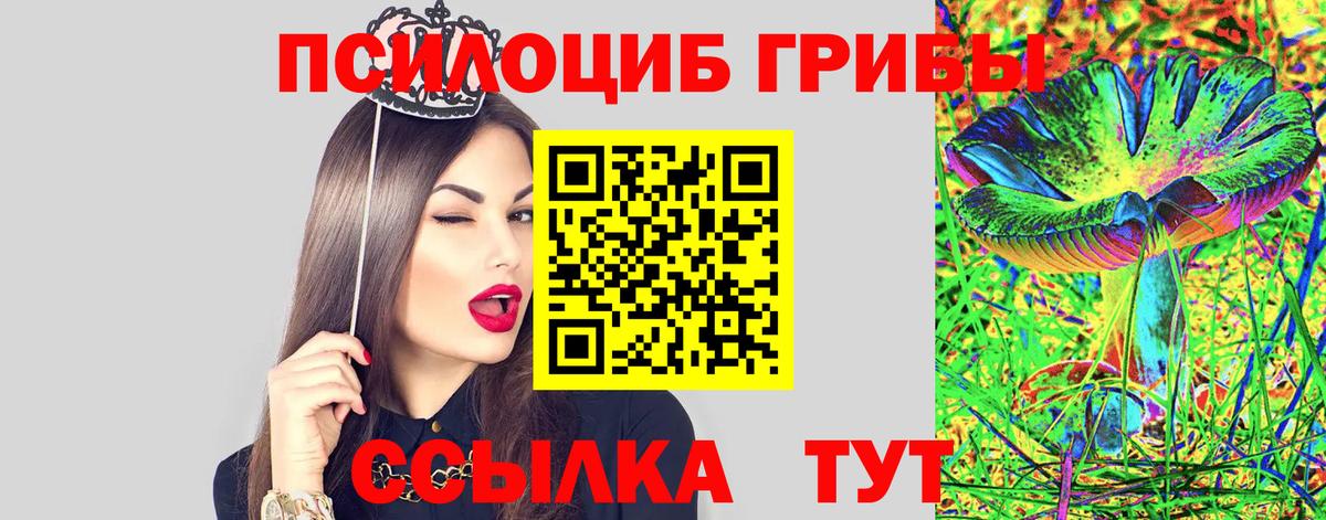 Псилоцибиновые грибы MAGIC MUSHROOMS Камышлов