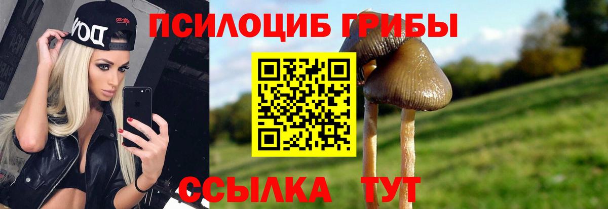 Камышлов  Галлюциногенные грибы Psilocybine cubensis  Вход с VPN 